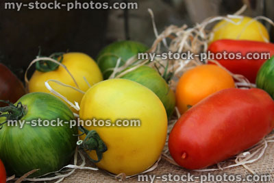 Stock image of different colour / multi coloured tomatoes, homegrown, red, yellow, orange, green, plum