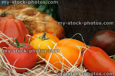 Stock image of different colour tomatoes, homegrown, red, yellow, orange, purple, onions