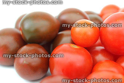 Stock image of small yellow and purple cherry tomatoes (Solanum lycopersicum)