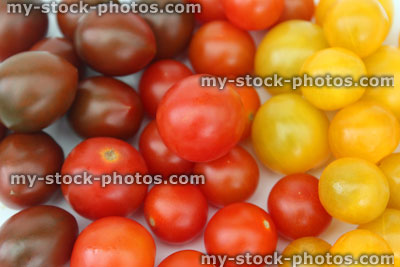 Stock image of small yellow, red, purple cherry tomatoes (Solanum), mixed colours