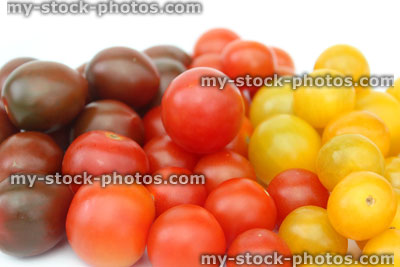 Stock image of yellow, red and dark green / purple cherry tomatoes, health benefits