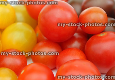 Stock image of small yellow, red, green / purple cherry tomatoes (Solanum lycopersicum)