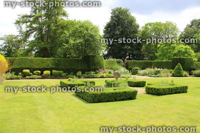 Stock image of landscaped knot garden with geometric clipped buxus hedges