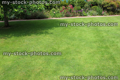 Stock image of fine green grass, mown garden lawn, flower border