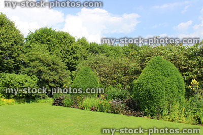 Stock image of green garden lawn, shrubs, herbaceous flowers, clipped yew trees, topiary