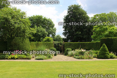 Stock image of clipped yew hedge, topiary plants, formal herbaceous border, roses, arboretum