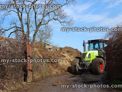 Stock image of farm tractor by pile of manure, muck spraying / spreading