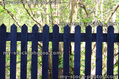 Stock image of wooden picket fence / fencing in garden, painted blue