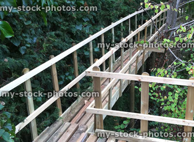 Stock image of wooden tree top walkway / treehouse