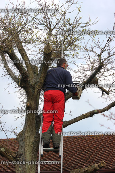 Stock image of tree surgeon using solo one handed chainsaw, cutting branches