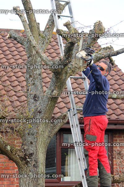 Stock image of tree surgeon on ladder, looking unsafe with chainsaw