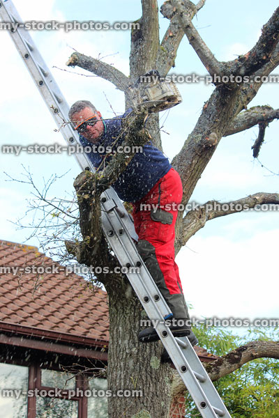 Stock image of tree surgeon using one handed chainsaw to prune branches