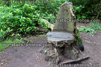 Stock image of wooden tree trunk seat, carved using a chainsaw