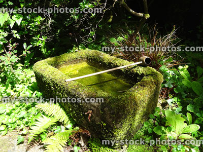 Stock image of rectangular sink / water basin trough covered with moss, Japanese garden