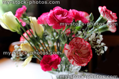 Stock image of pink and white spray carnation flowers, glass vase