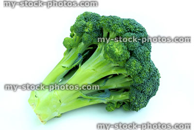 Stock image of fresh organic broccoli floret, isolated on white background