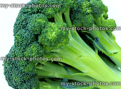 Stock image of fresh organic broccoli floret, isolated on white background
