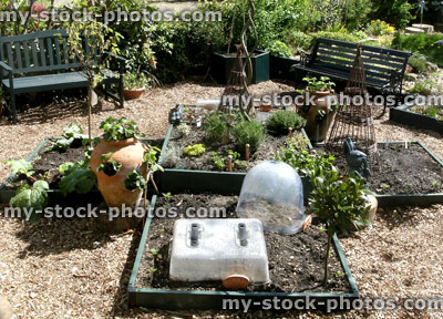 Stock image of raised red, vegetable garden, bell jar cloches, strawberry pots