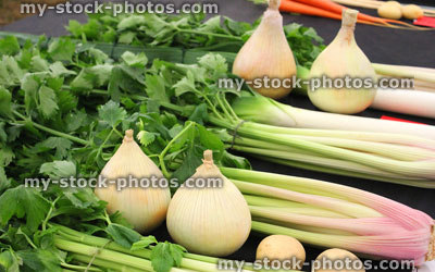 Stock image of prize winning vegetables, onions, celery, leeks, potatoes, flower show exhibition