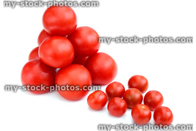 Stock image of fresh organic tomatoes and cherry tomatoes, isolated background
