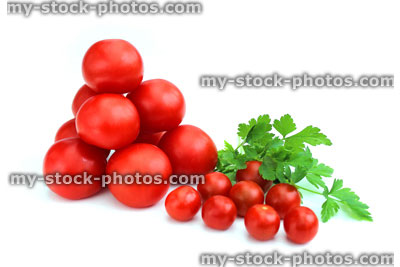 Stock image of fresh organic tomatoes and cherry tomatoes with parsley leaves