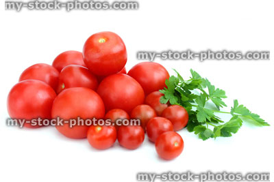 Stock image of fresh organic tomatoes and cherry tomatoes with parsley leaves