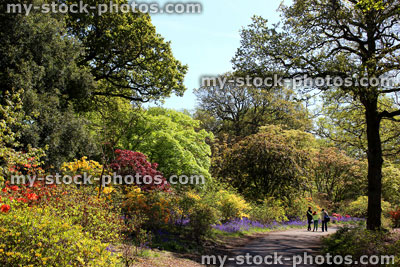 Stock image of family walking through landscaped garden with flowers, trees