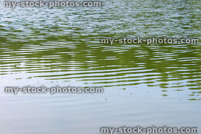 Stock image of water ripples on pond surface, green cloudy water