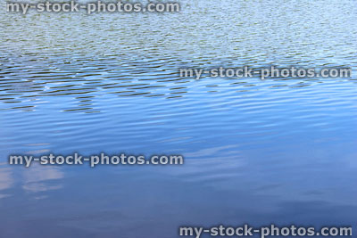 Stock image of water ripples on pond surface, reflections of sky