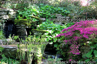 Stock image of natural rock garden with waterfall and bog plants