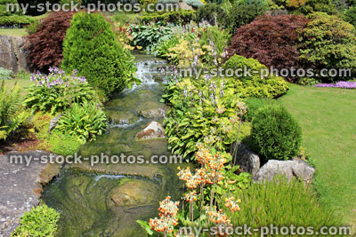 Stock image of waterfall in rockery garden, dwarf conifers, primula flowers