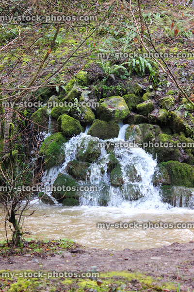 Stock image of natural woodland waterfall splashing into stream over rocks