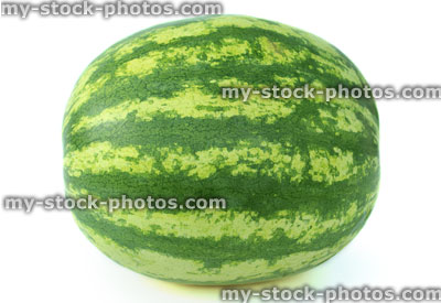 Stock image of whole watermelon with green stripes on melon skin