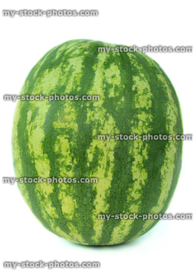 Stock image of watermelon fruit standing on end, whole melon fruit