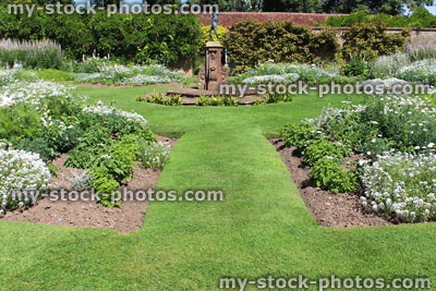 Stock image of white garden, herbaceous plants with white flowers only