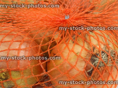 Stock image of dried white onions, group, white background, orange net bag