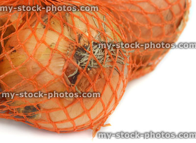 Stock image of dried white onions, white background, orange onion bag