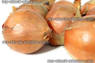Stock image of dried white onions, white background, fresh supermarket vegetables