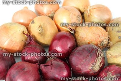 Stock image of dried white and red onions, farm shop harvest