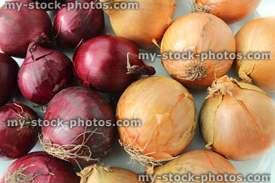 Stock image of white and red onions with dried roots, peeling skins