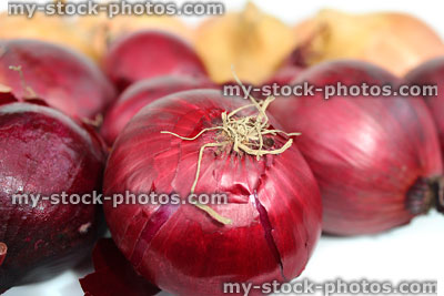 Stock image of white and red onions sold at farm shop greengrocer