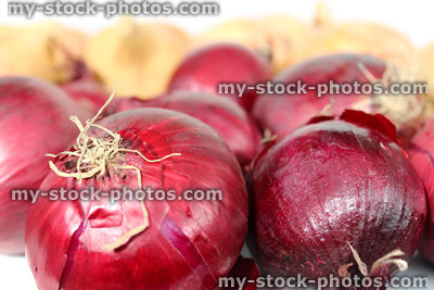 Stock image of dried white and red onions, glossy skins, roots