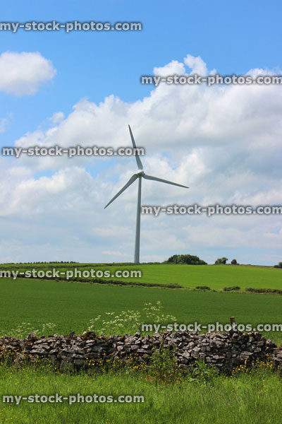 Stock image of wind turbine windmill in green field, blue sky, drystone wall
