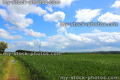 Stock image of wind turbine windmill in field, blue sky, clouds
