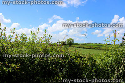 Stock image of wind turbine windmill in green field, blue sky, clouds, hedge