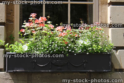 Stock image of window box with flowers on Georgian house, Bath stone bricks