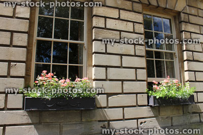 Stock image of window boxes with flowers on Georgian house, Bath stone bricks