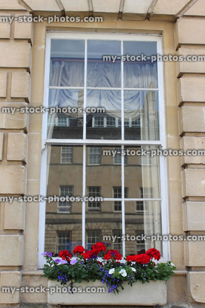 Stock image of window box with red Geranium flowers (pelargoniums) on Georgian house