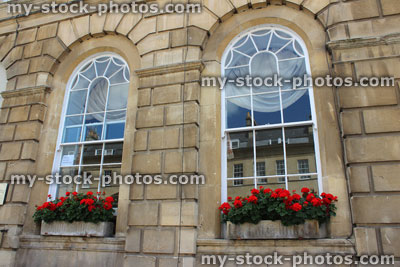 Stock image of stone window boxes with red flowers (geraniums / pelargoniums), Georgian house