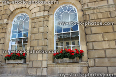 Stock image of stone window boxes with red flowers (geraniums / pelargoniums), Bathstone house